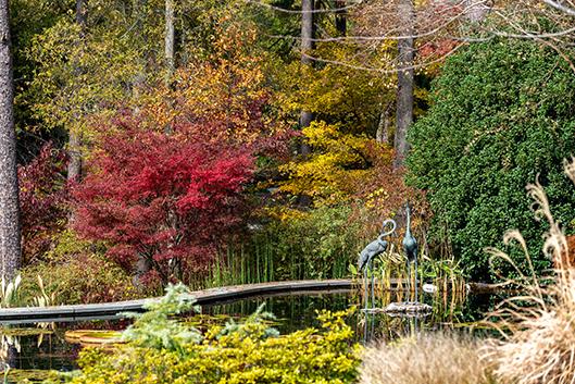 Fall landscape